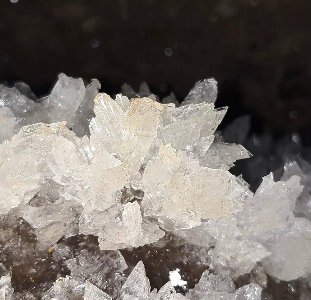 Instagram: @r4gn4rck