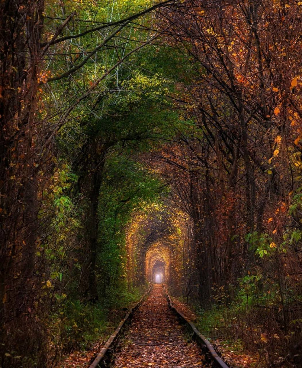 Instagram: @sergey_polyushko