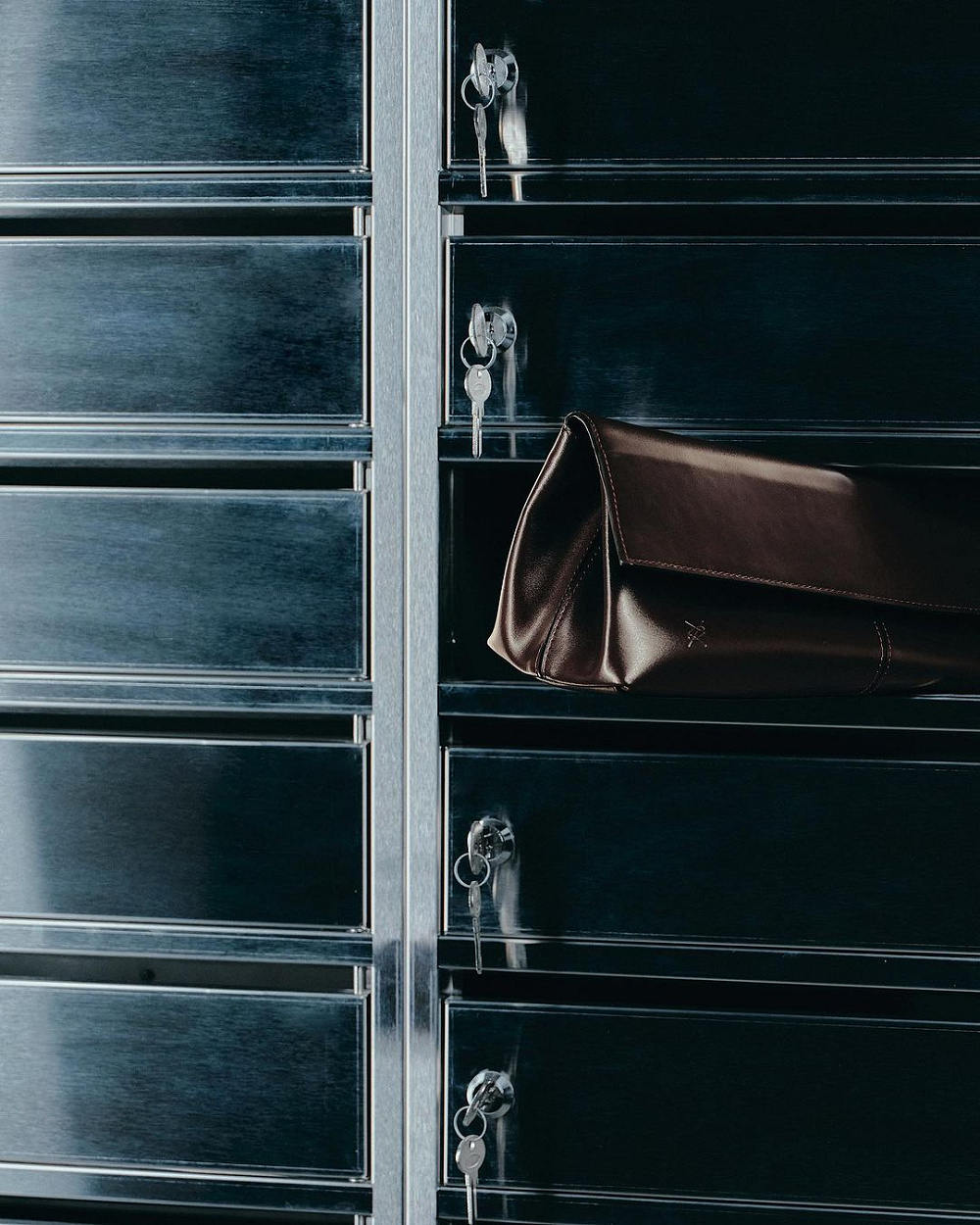 Kachorovska Holiday Collection