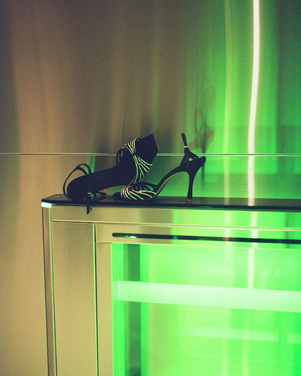 Kachorovska Holiday Collection