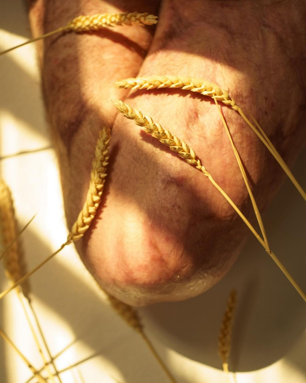 Instagram: @neoplaymi/@masharaymers