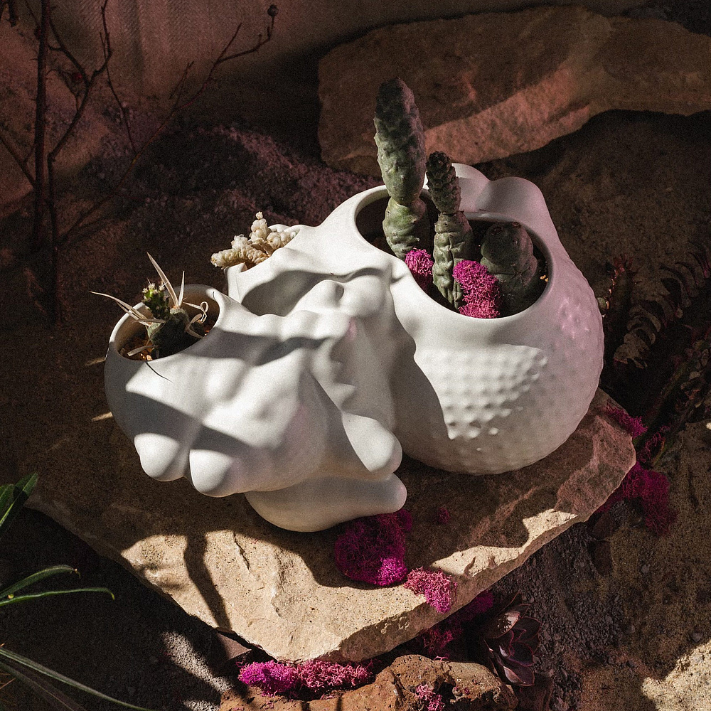 Forma Rosa Studio - Bubbly Planter
