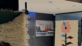 КАРПАТСЬКА ВОВНА В СУЧАСНОМУ ДИЗАЙНІ