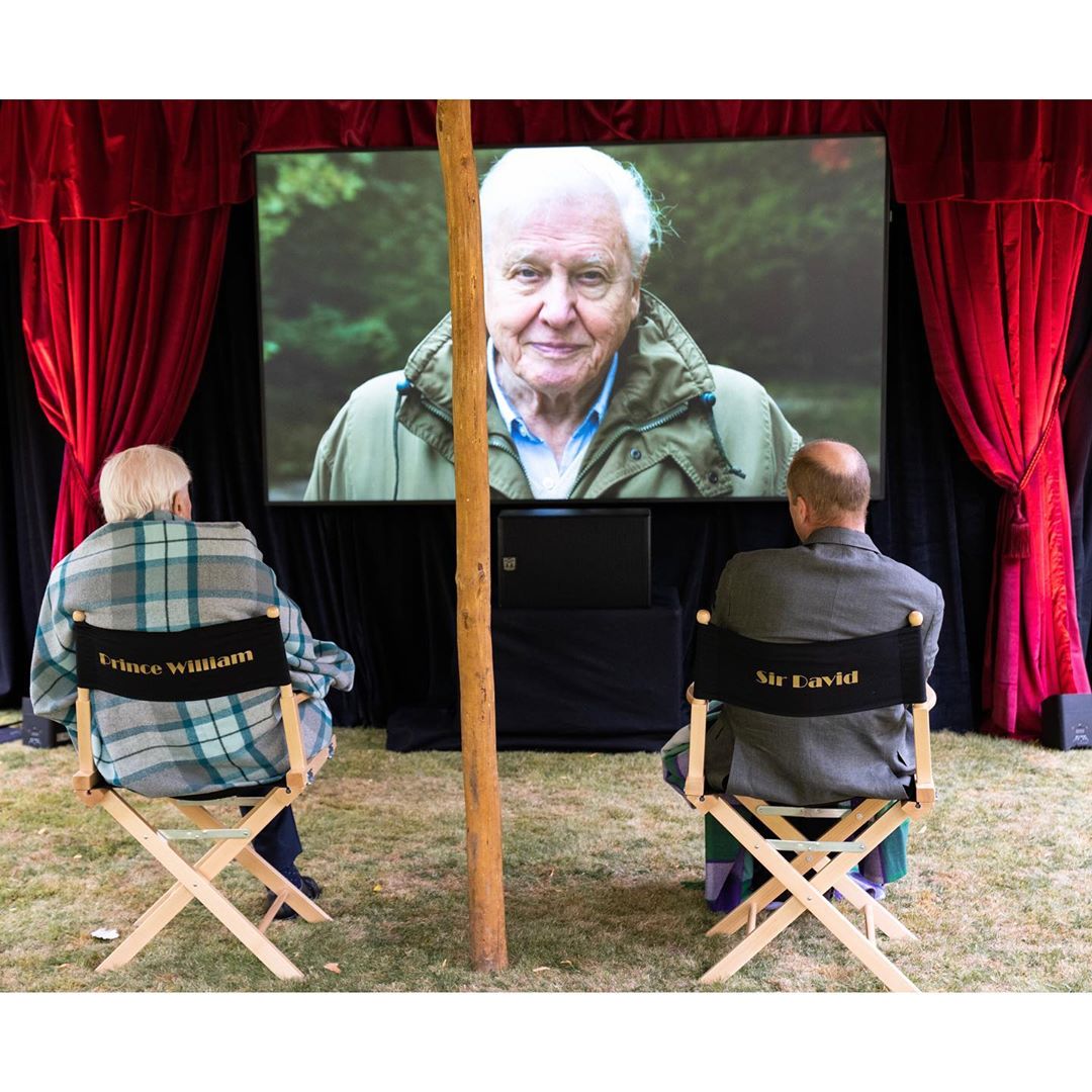 Принц Уильям