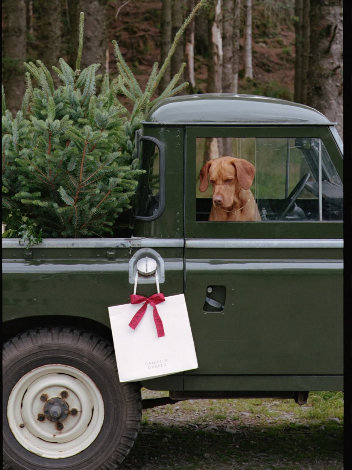 гороскоп січень 2026 рік