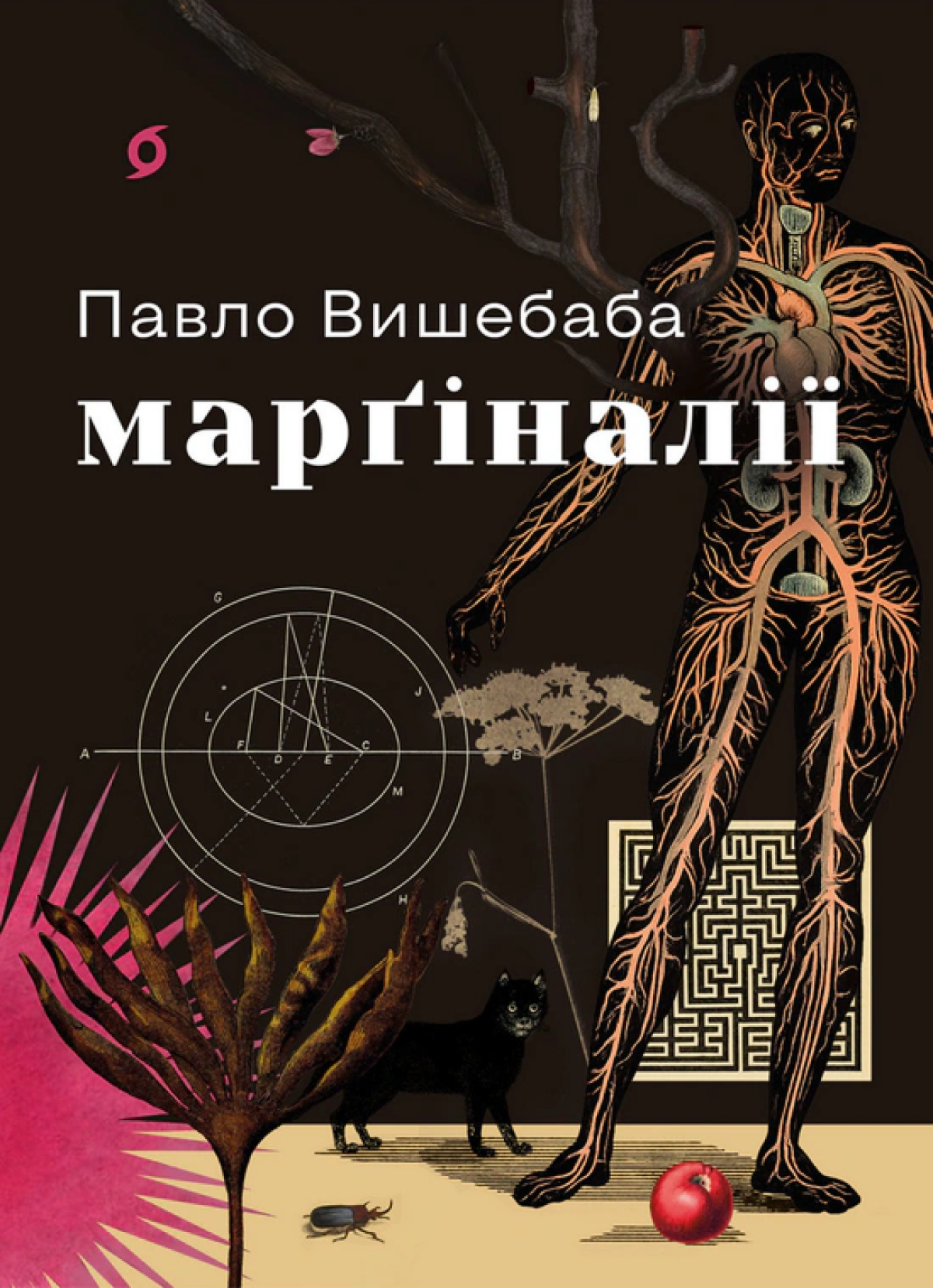 «Марґіналії», Павло Вишебаба 