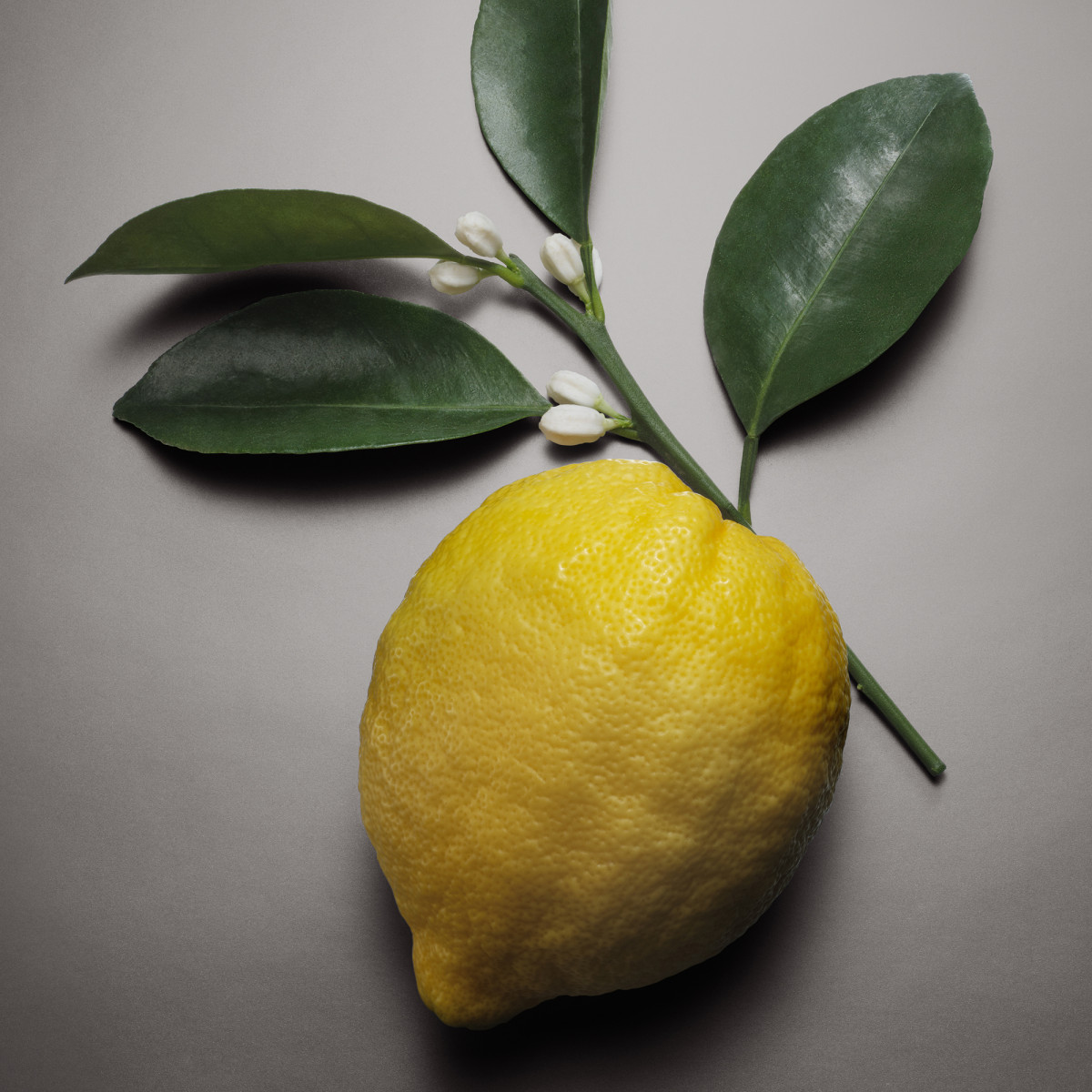 парфум 2025 рік