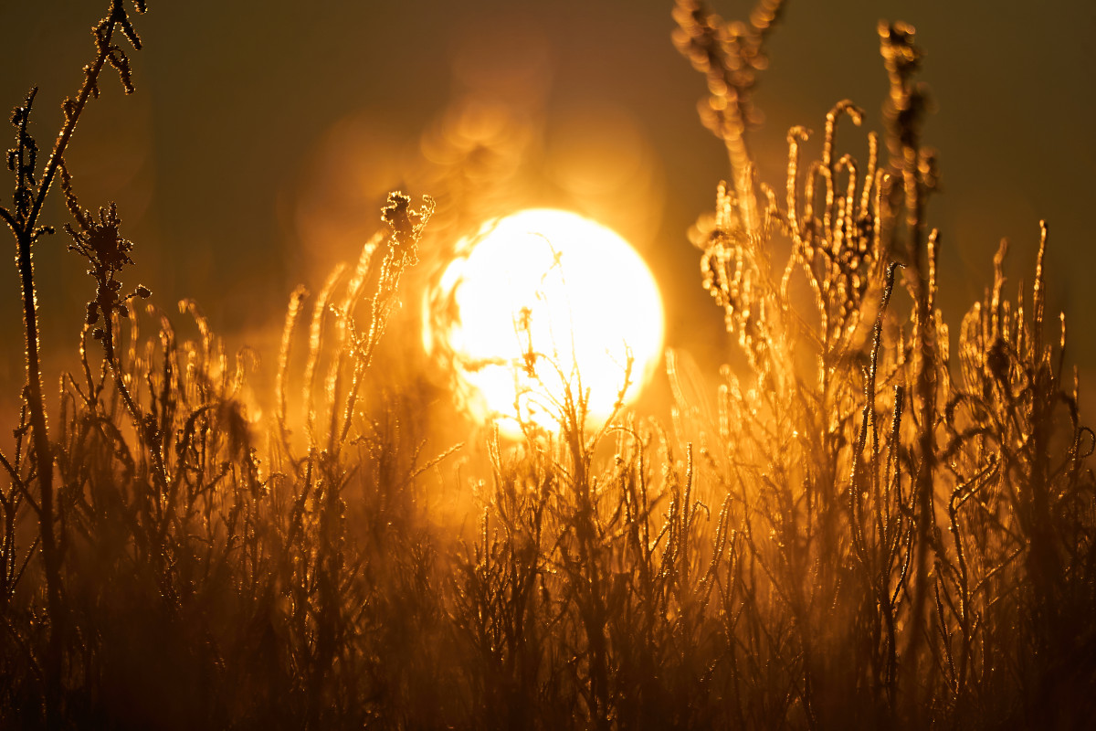 «До світла»