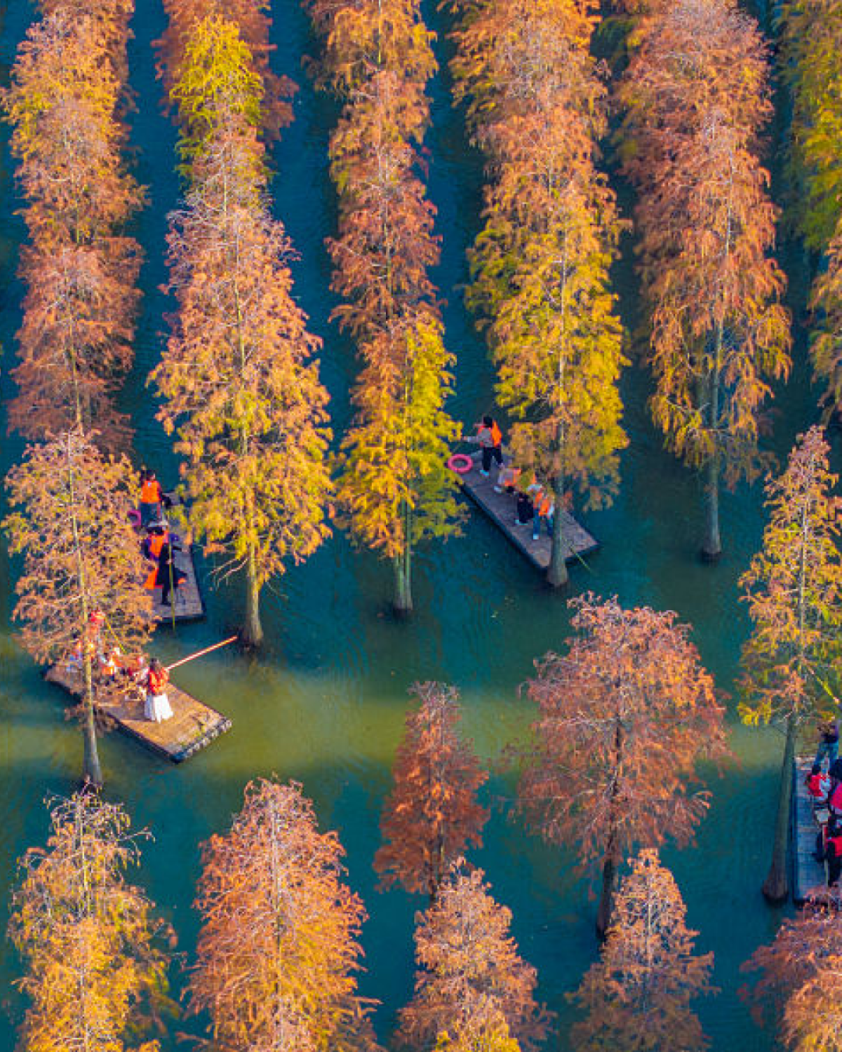 Що таке slow travel та у чому його переваги