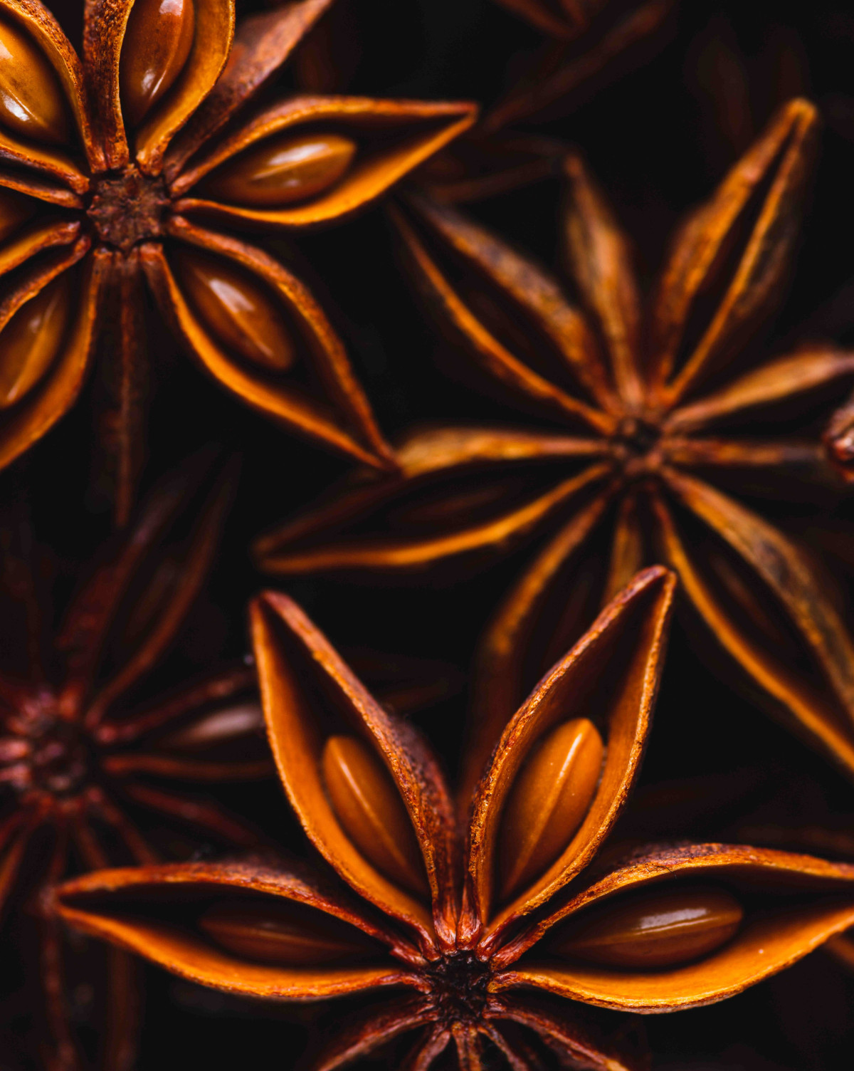 як вибрати парфум на зиму 2025