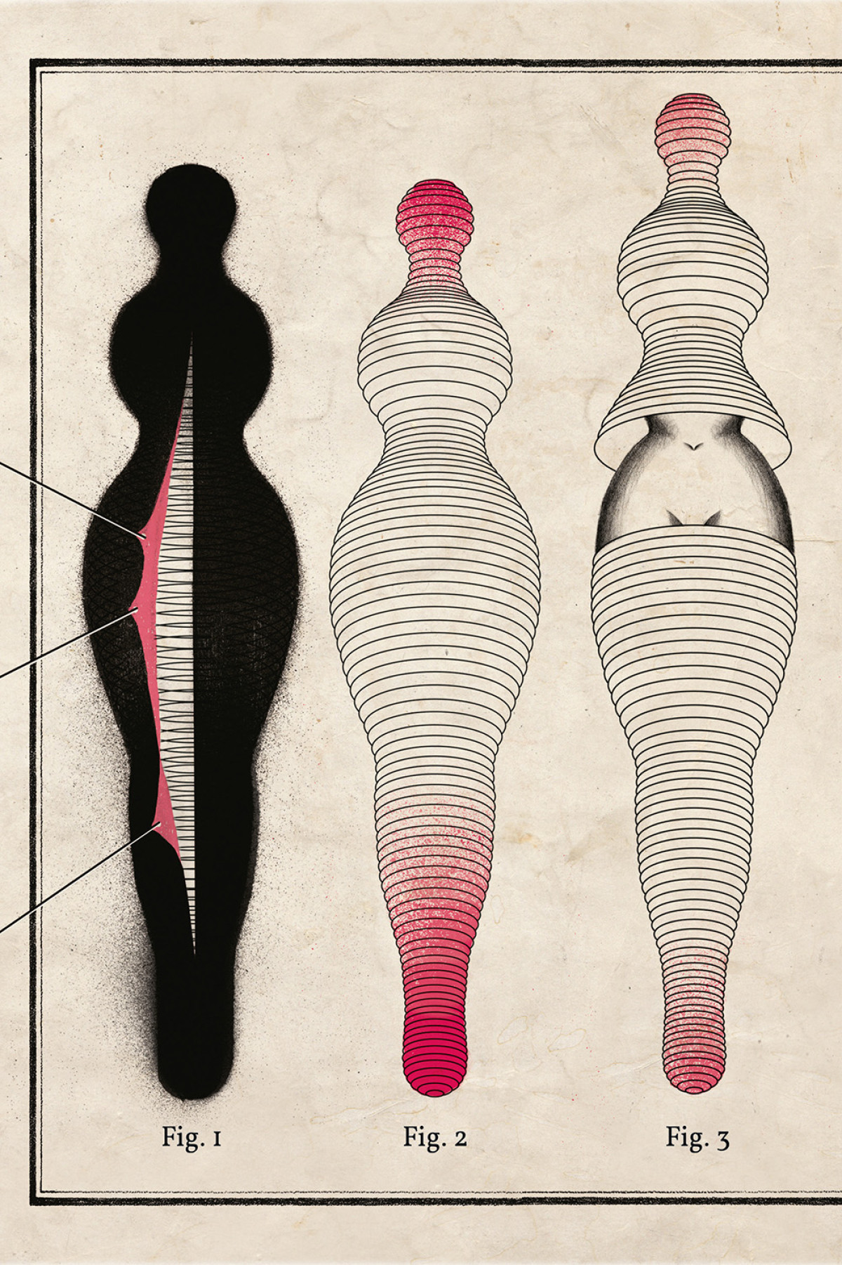 «Коханець леді Чаттерлей», Девід Лоуренс Герберт