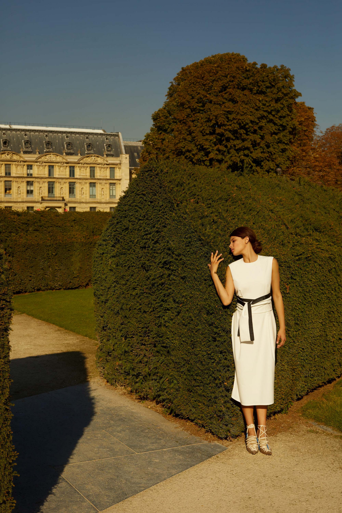 Мишель Андраде