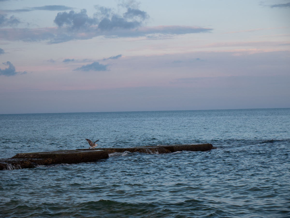 море