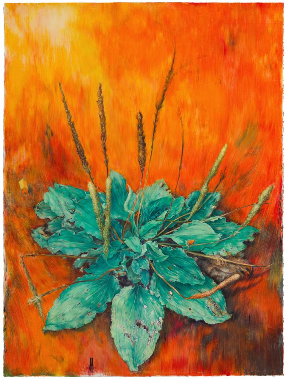 «ПІСЛЯМОВА (або пейзаж з фіговим листом)»  