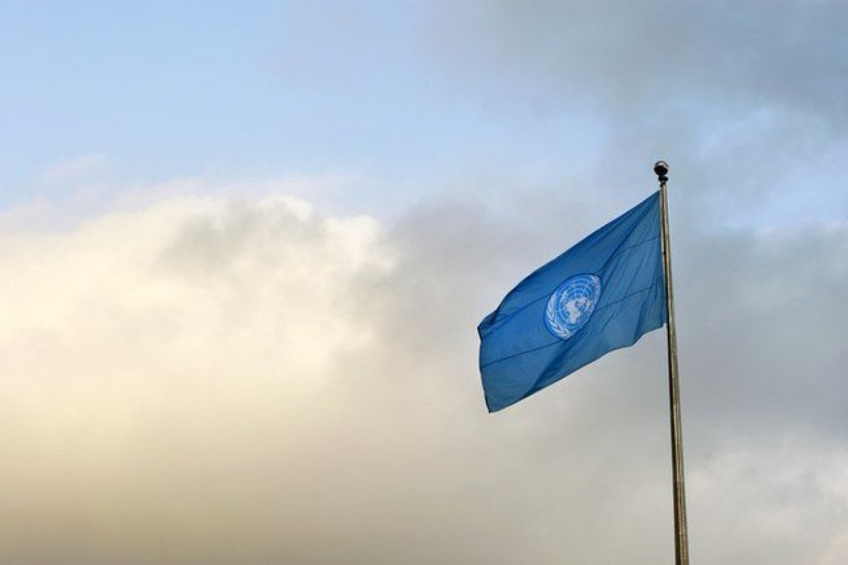 Международный суд Организации Объединенных Наций в Гааге 
