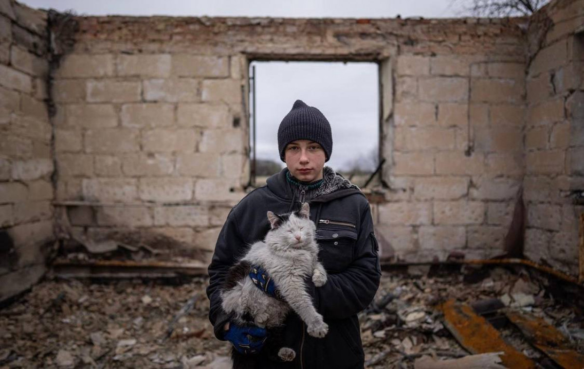 Гуманитарная катастрофа в Украине 
