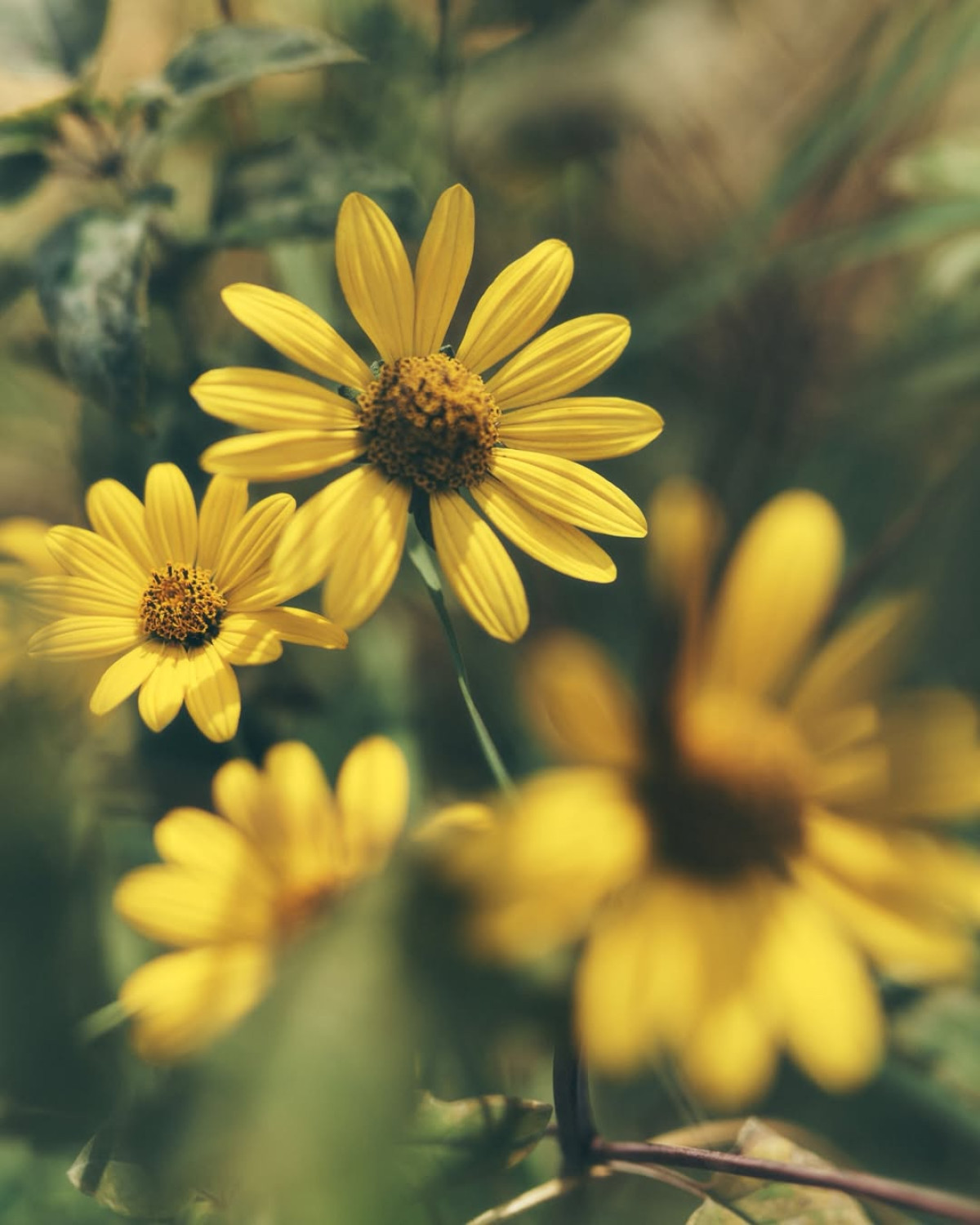 тренди краси 2026 року