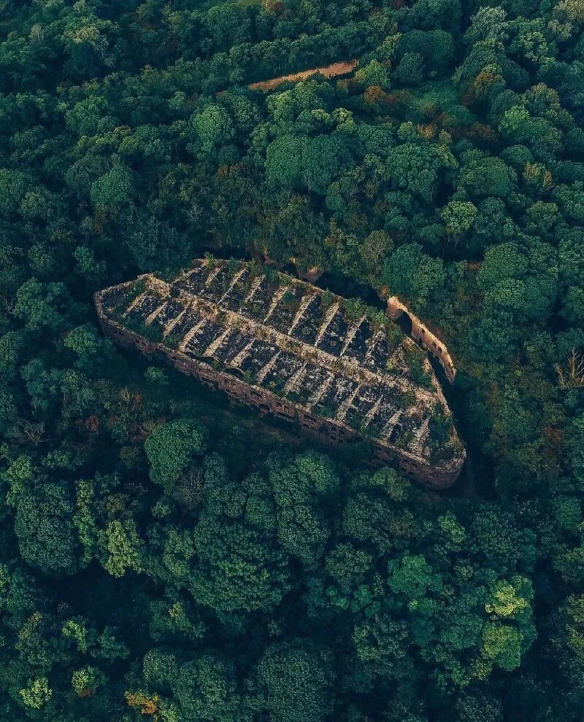 Тараканівський форт (Тараканів)