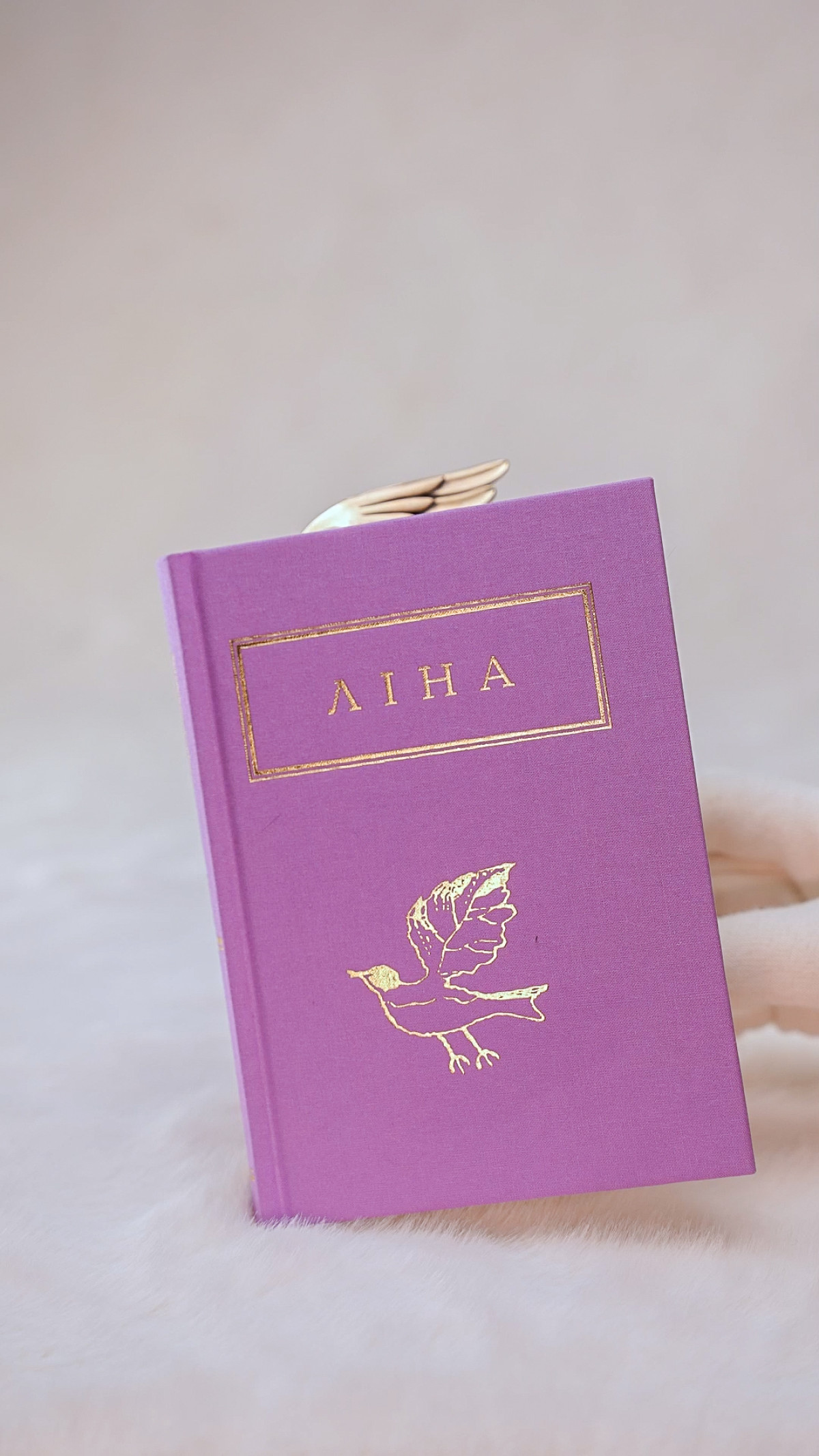 Ювелірні закладки для книг від GASANOVA X Ліна Костенко