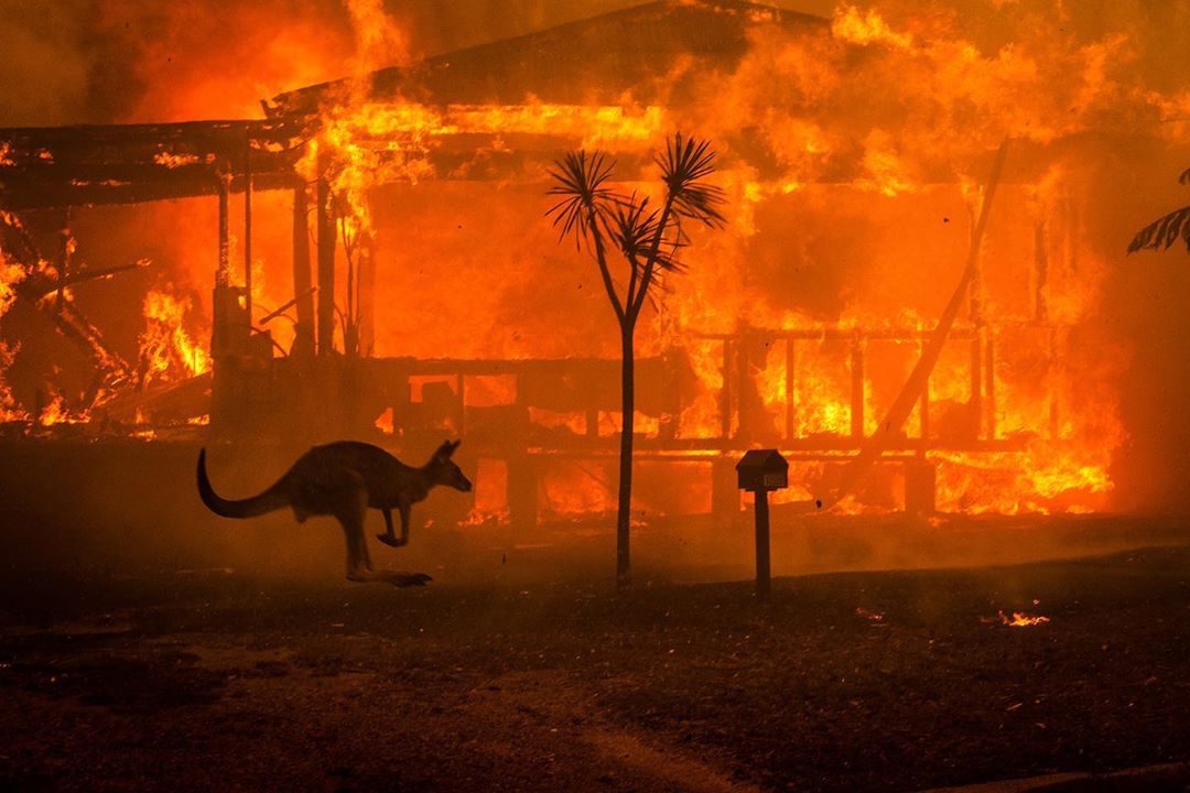 Австралія пожежа